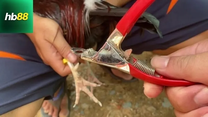 Công cụ và chuẩn bị cần thiết